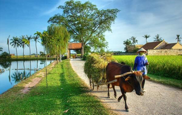 Quy hoạch phát triển thủy lợi gắn với mục tiêu xây dựng nông thôn mới