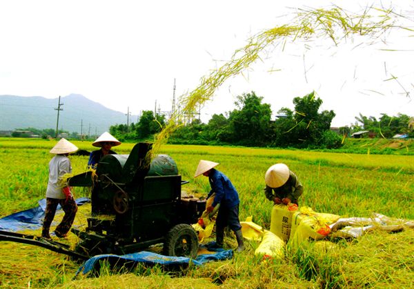 Đóng góp xây dựng nông thôn mới, lạm thu hay tự nguyện?